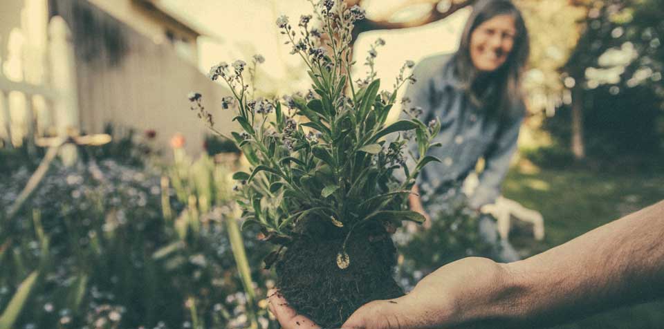 man gardening