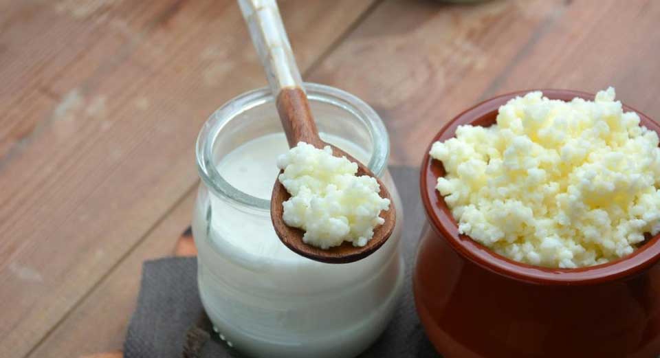 kefir