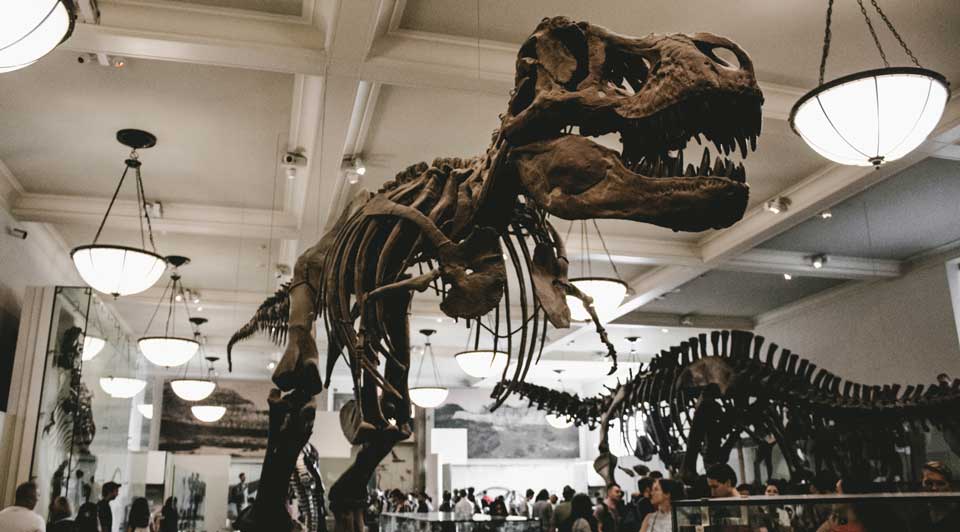 inside museum DC