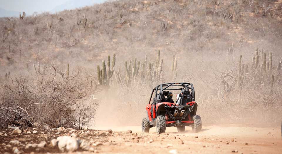buggy in the desert